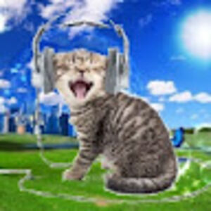 Meet your Posher, Zarriah